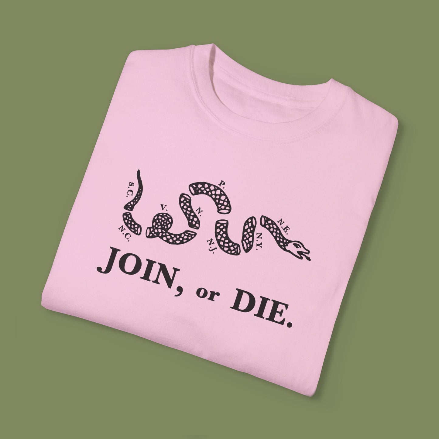 Join or Die Patriotic T-Shirt by Vint Hill Designs