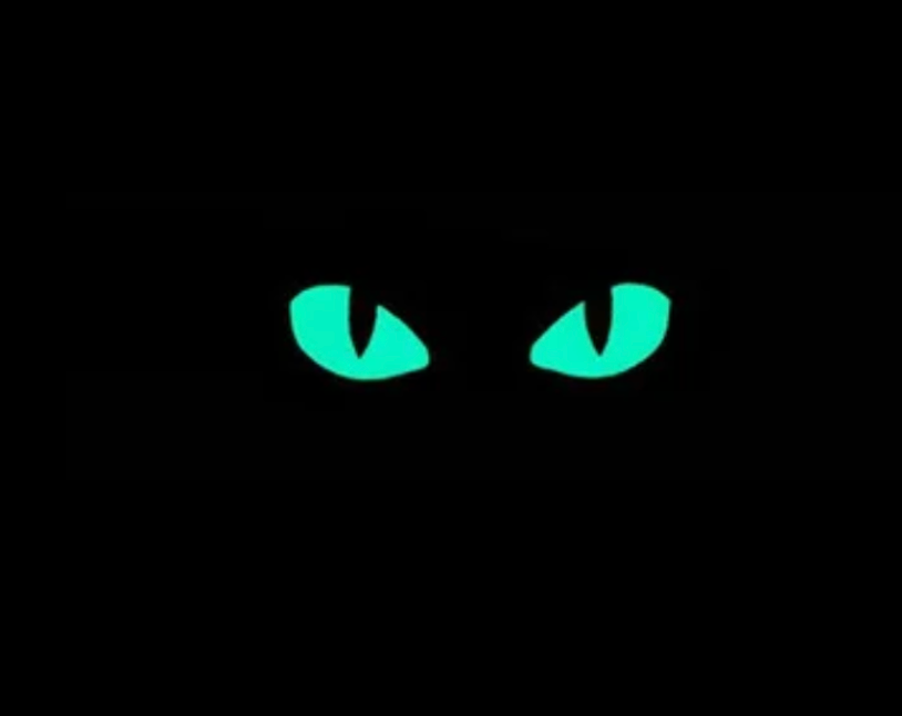 Border Patrol Cat Eyes Glow in Dark